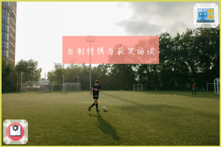 自制特辑与获奖访谈