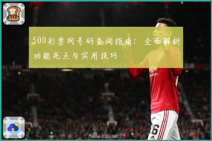 500彩票网号码查询指南：全面解析功能亮点与实用技巧