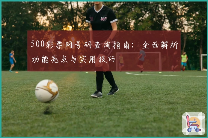 500彩票网号码查询指南：全面解析功能亮点与实用技巧