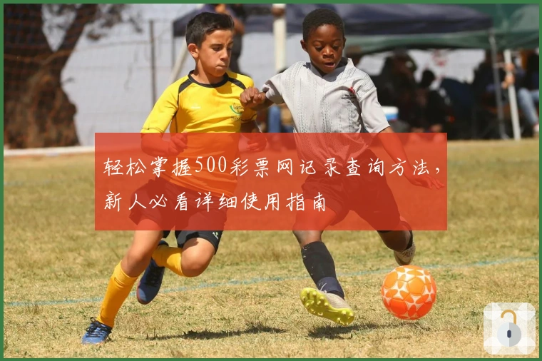 轻松掌握500彩票网记录查询方法，新人必看详细使用指南