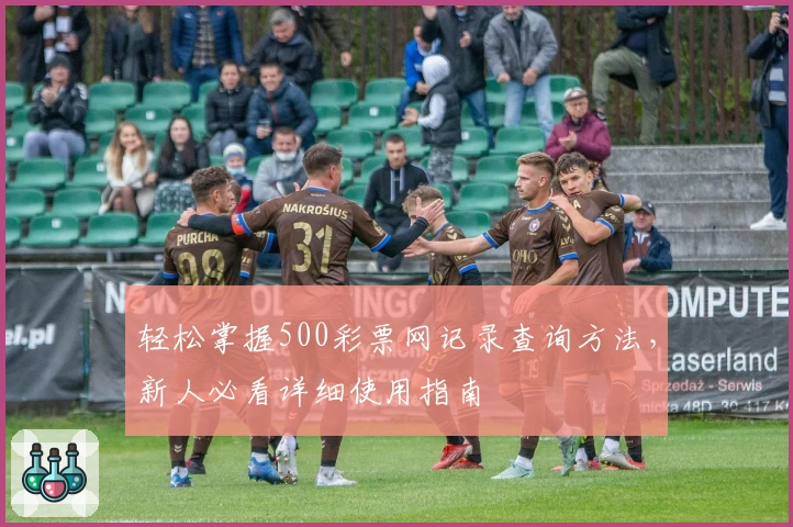 轻松掌握500彩票网记录查询方法，新人必看详细使用指南
